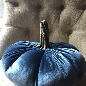 Blue velvet pumpkin with real stem